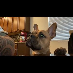 Meet your Posher, Gerome